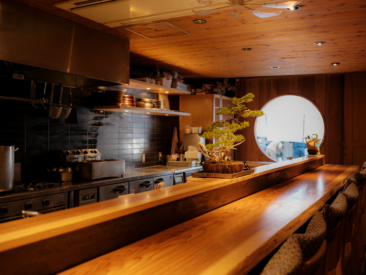 CENSU | Bivouac PROJECT
